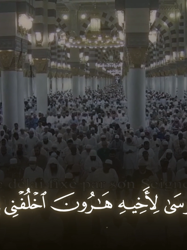 { وَوَاعَدْنَا مُوسَى ثَلَاثِينَ لَيْلَةً وَأَتْمَمْنَاهَا بِعَشْرٍ فَتَمَّ مِيقَاتُ رَبِّهِ أَرْبَعِينَ لَيْلَةً وَقَالَ مُوسَى لِأَخِيهِ هَارُونَ اخْلُفْنِي فِي قَوْمِي وَأَصْلِحْ وَلَا تَتَّبِعْ سَبِيلَ الْمُفْسِدِينَ } [سُورَةُ الأَعْرَافِ: ١٤٢ أحمد طالب حميد #quran #قرآن #قران_كريم #أحمد_طالب 