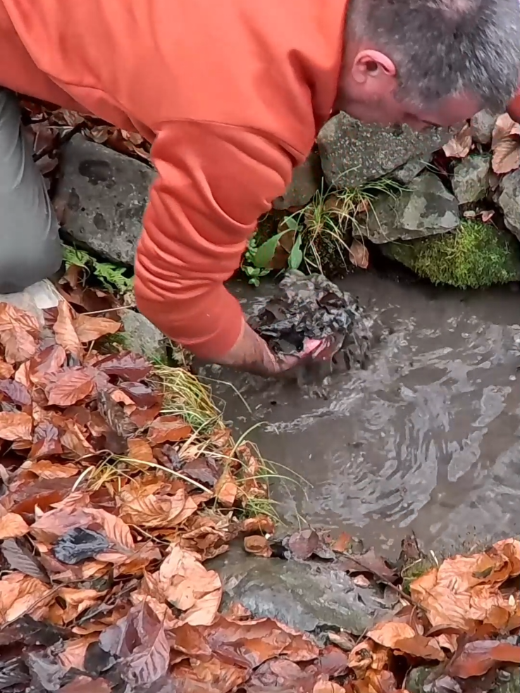 Surviving a Cold Night with the Inokraft Heated Vest! #camping #Outdoors #skills #bushcraft #forest 