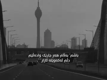 دڵم ئەکەوێتە ئازار🌚. #foryou #foryoupage #fyp #acctives? 