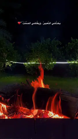 يَخذُلني التَّعبيرُ ، ويقْتلني الصَّمْتُ 