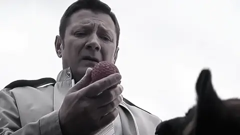 قصة الكلب الوفي .💔💔