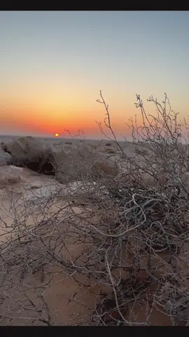 #CapCut #عبدالكريم_عبدالقادر #fyp #اكسبلور  💔🚶🏻‍♂️‍➡️