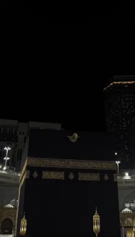 @🌚🤍 #گوهداربـــــــــــە🤍 🥺🤍…