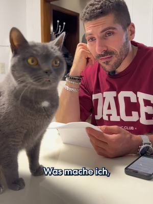 Schütze dein Kätzchen vor hohen Tierarztkosten!