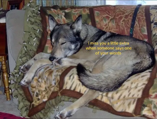 #grief #fyp #griefjourney #relateable #imissu 