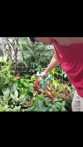 #creatorsearchinsights #foryoupage ##viral 