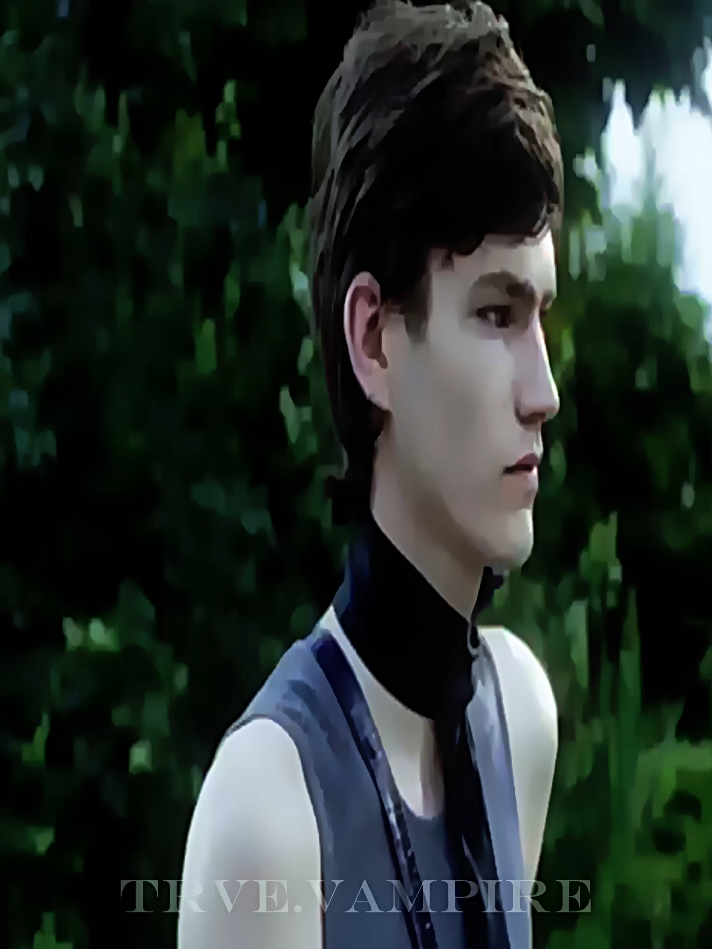 #bp #eliasdepoot #vampire #looksmax #lookism