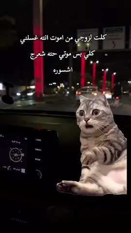 #الايكات생일축하해사랑해❤_فولو_متابعة💛 