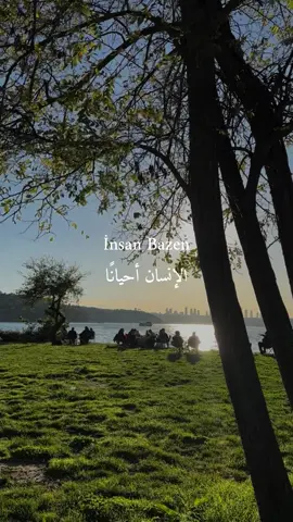 أكثر ما يرهق الإنسان، هو فناء عمره في المكان الخطأ، مع الأشخاص الخطأ .