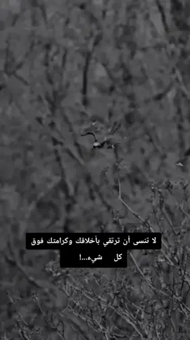 #عبارات  #تحفيز  عن الصقر #🦅  الصقر رمز للكرامة والشجاحة والعزة.  لا تنسى أن ترتقي بأخلاقك وكرامتك فوق كل شيء #خواطر 