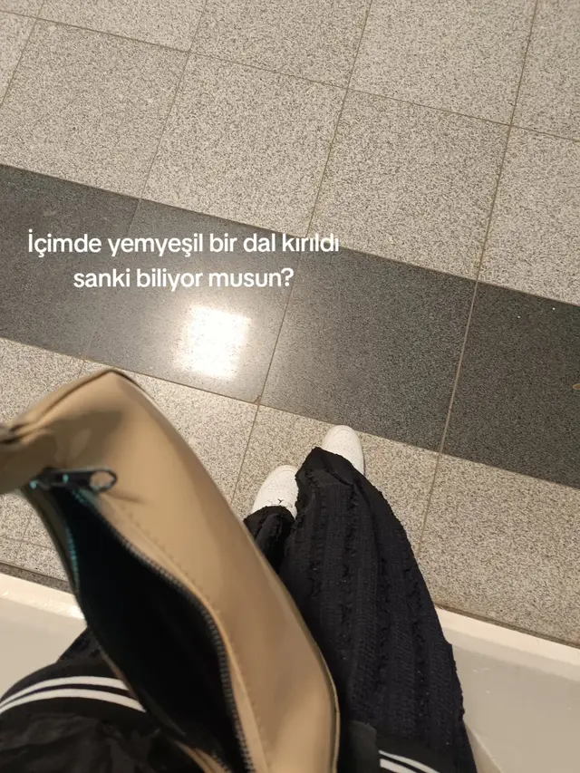 #siiregazele #kesfet #kesfetbeniöneçıkart #kesfetteyiz 