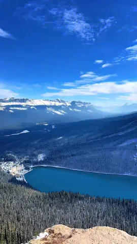 Stunner ✨#fyp #canada #november #winterwonderland #banffnationalpark 