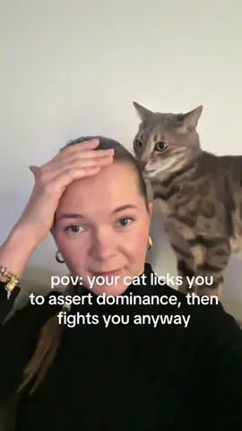 or maybe it’s the german? 