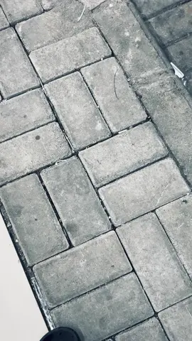 #foryoupage #fypシ゚ 