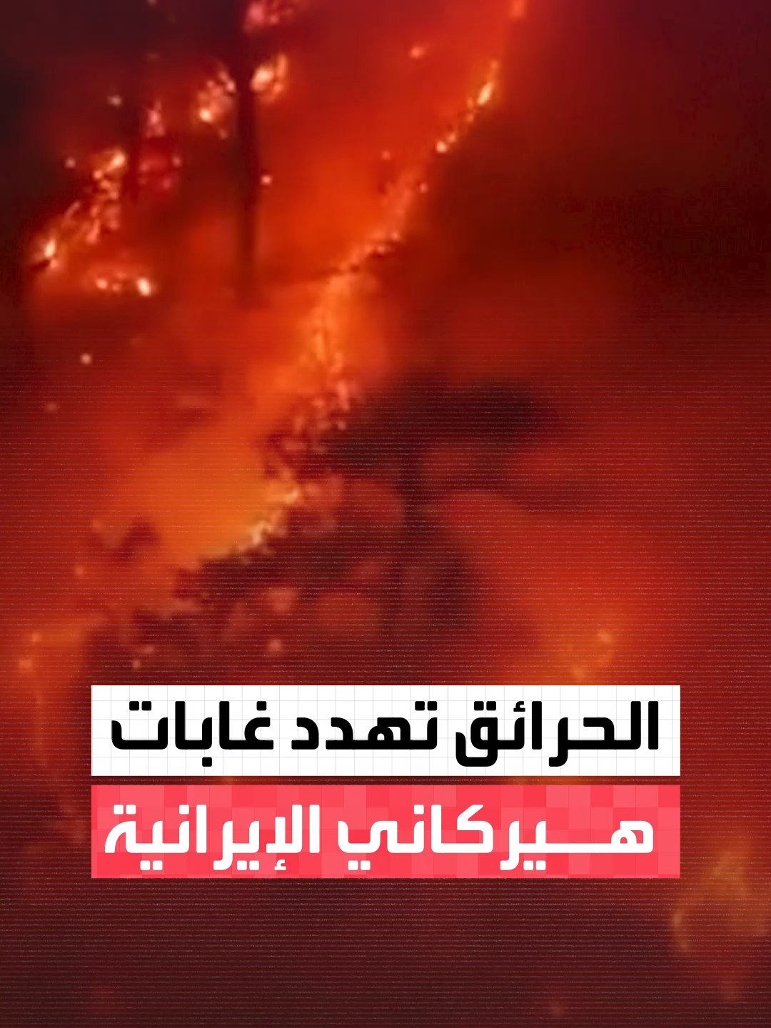 مدرجة على قائمة التراث العالمي لليونسكو.. #إيران تطلق نداء استغاثة بعد عجزها عن احتواء حرائق غابات 