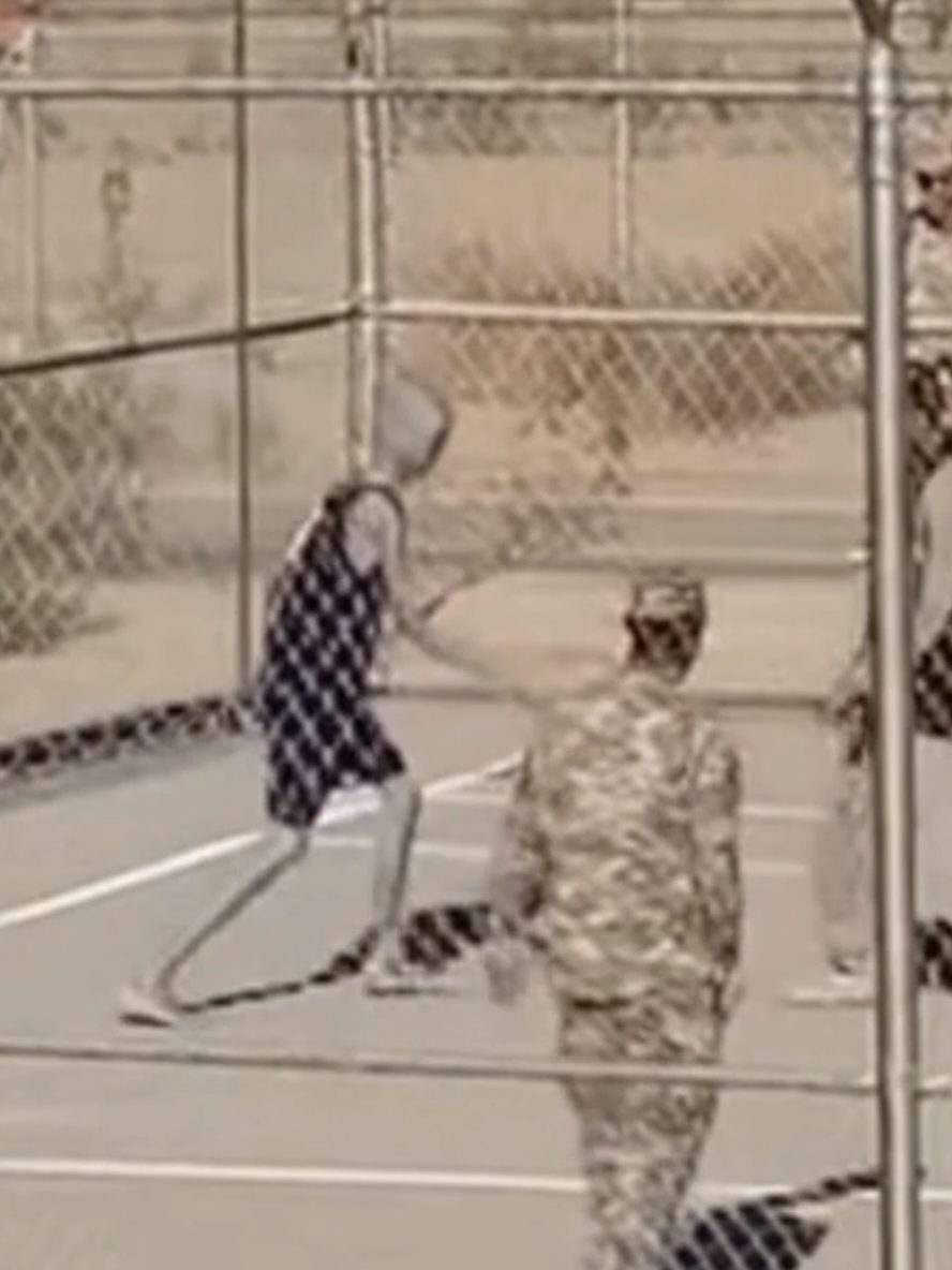 esto es increíble 😳 alienígena conviviendo con los humanos. #viraltiktok #noticias #alien 