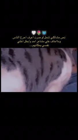 #مـــذهـلـٰٰٖٖهــۃ #سڪرةـ✮_حَياتـيـہٰ #انــloveـوشـتـي💜💙 #CapCut #قـلـبـʅي_؏ـلى_قـيـد_حَبۿاَ_يـنـHـبْـہضِ🔒💙 