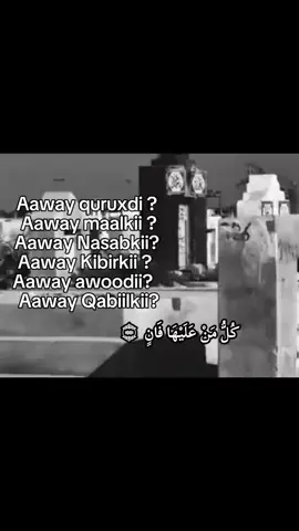 cid walbo oo dhulka kusugan woo tagi doona😭⚰️ ee camal wngsn shaqeeso adi iyo camalkaga io waxii aad shaqeesato 