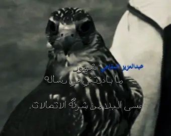 #المقاطي         #511       #fyp       #explore 