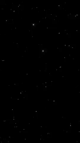 مبحبكيش دنتي بوشين 😅🎭. #تصميم_فيديوهات🎶🎤🎬 #مسلم #fyp #تصميمي 