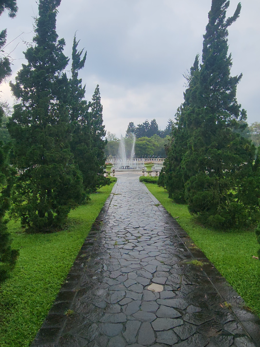 #اندونيسيا_جمال_طبيعة #اندونيسيا🇮🇩 #بونشاك🇮🇩 #بونشاك 