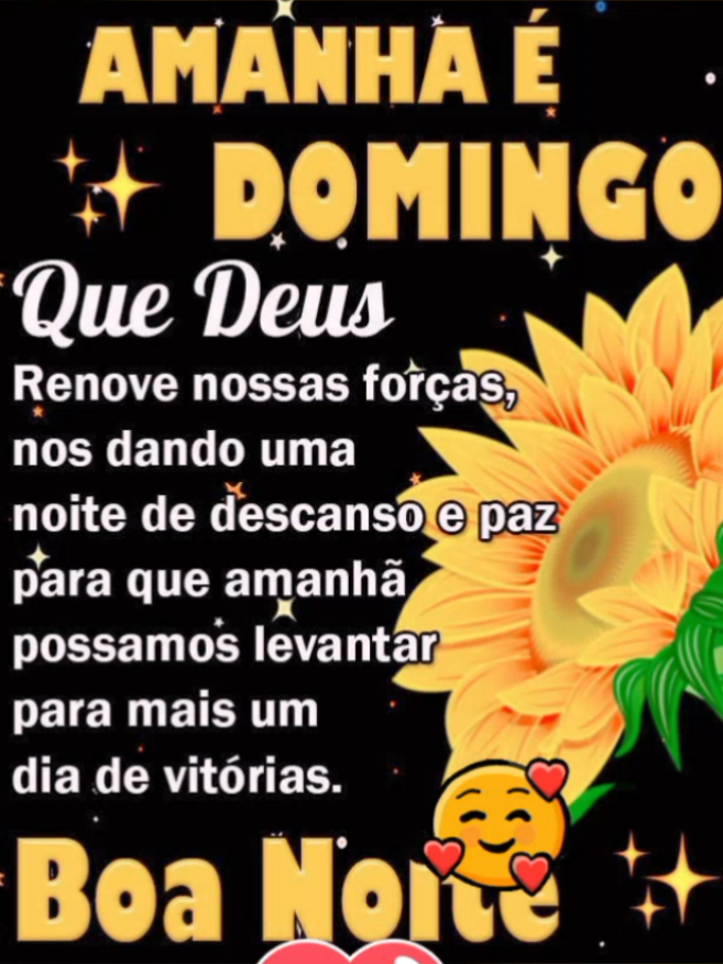 ⋅˚.ॱ★*•.¸⋅˚☆.˚️⋅˚️⋅✨🌙 ══˚.*ೃ.💕🌹🌿¸.˚.*ೃ¸.  Sábado terminando... E no coração,  gratidão por tudo  o que vivenciamos  até aqui...O meu desejo é  uma excelente noite de descanso para todos que acreditam que Deus já prepara  um amanhecer cheio de paz e bênçãos  para todos nós... Amanhã  teremos um Domingo bem abençoado... ️˚️⋅.˚️⋅♥︎𝗕𝗼𝗮✨️𝗡𝗼𝗶𝘁𝗲!♥︎