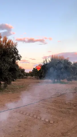 #سيدي_بوزيد #جمال_الطبيعة_☘️🍀🌿ماشاء_الله #شعب_الصيني_ماله_حل😂😂 #فلاحة👩🏻‍🌾🖤🌿 #بنت_فلاح💚🧑🏻‍🌾 