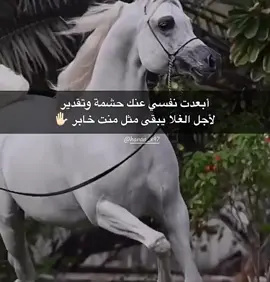 #في هذا اليوم 