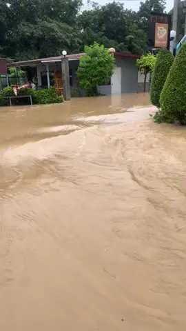 #น้ำท่วมหาดใหญ่ #บ้านปลักธง 21/11/25 #สาหัสจริงๆพาตัวเองรอดมาได้ก็บุญแล้ว ✌️✌️❤️🥹