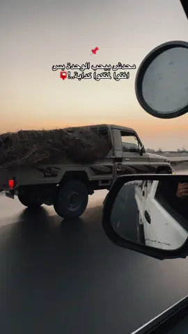 #بدومصر #مشاهير_العرب #المعروف_لايعرف😜🦅 #viral #fyp 