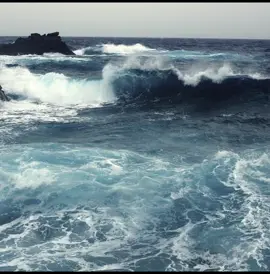 #wavetoearth  #w2e  #moodboardaesthetic  #viral  #fypシ 