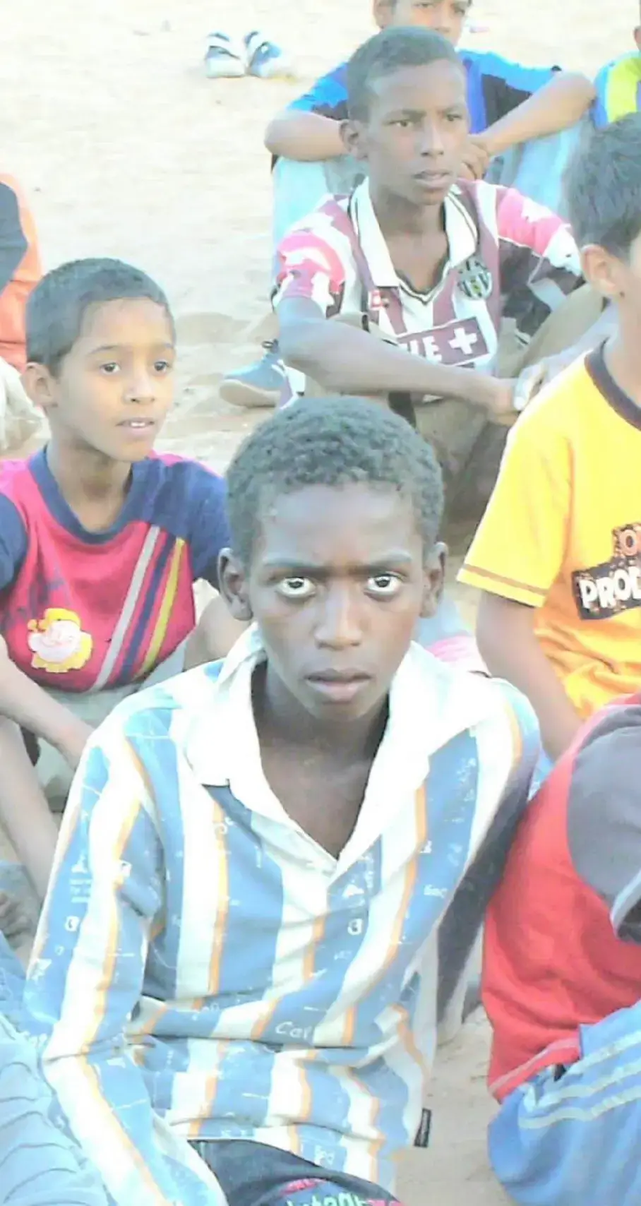 #دكر_الدبان  #شعب_الصيني_ماله_حل😂😂😂😂🤣🤣🤣🤣🤣🤣 