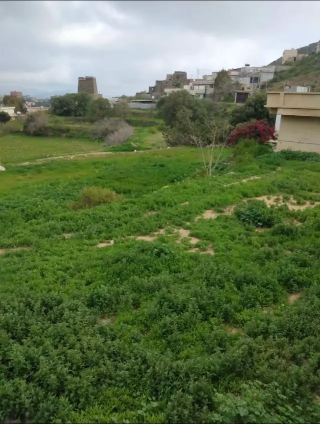 #اكسبلور #ترند #ترندات_تيك_توك #بني_مالك 