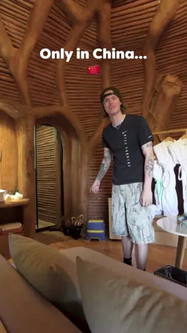 Red Panda in China AirBnB #china #redpanda #panda #travel 