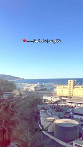 باقيلي شعرة على الهبال 💔#chebsisiyou  #dido_wo05 