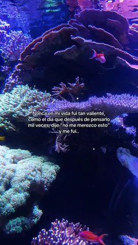 Cómo estás?  #mujereslatinas #aquarium #frasesdeamor #compartir #fyppppppppppppppppppppppp 