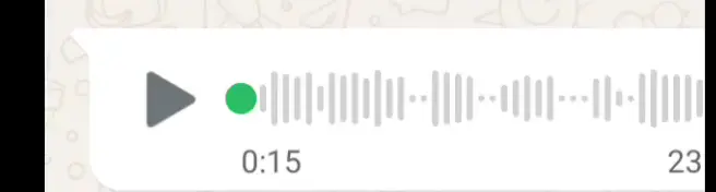 😂🤣#jokes #pitoritiktoker #pitorivibes 