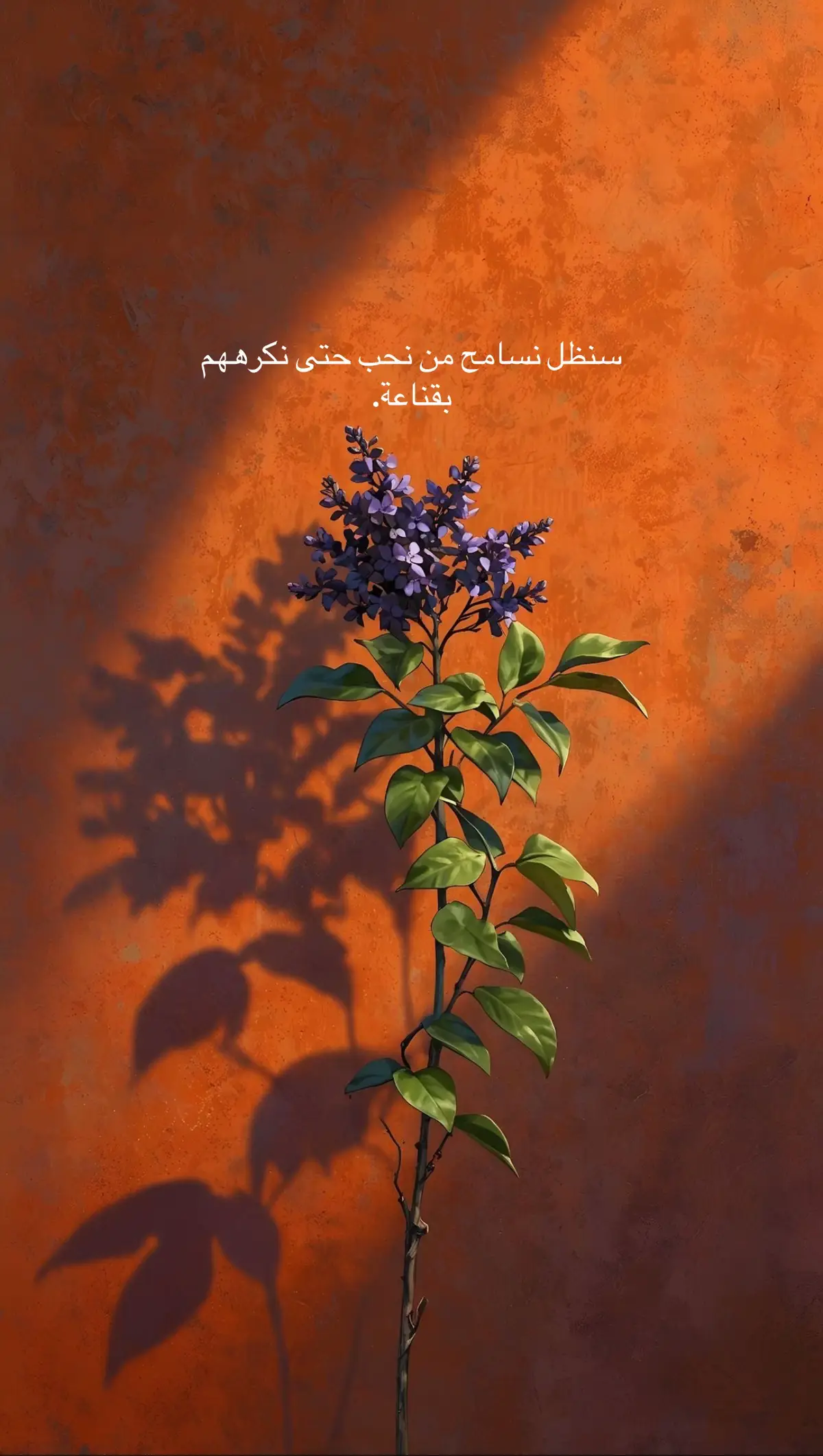 #اقتباسات📝 