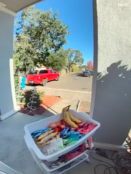 These guys made my day! volume up!  #snacks #fedex #deliverydrivers #enjoy #lol 