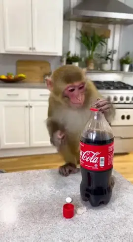 prank with my mama😂😂 #fyp #viral #monkey #sora #ai 