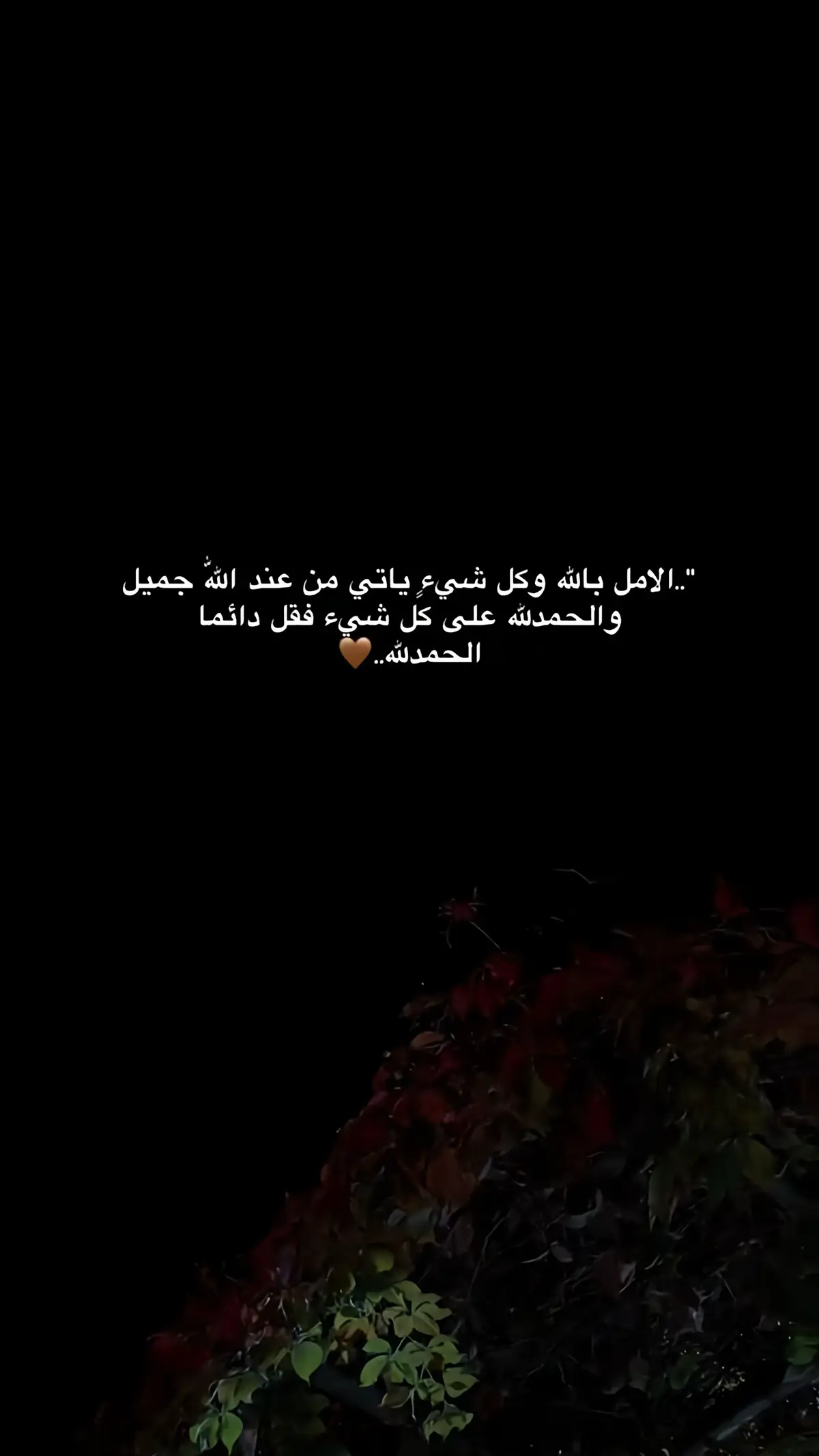 #الحمدلله_دائماً_وابدا 🤎