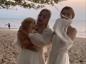 CADÊ O FANDOM DE FREENBECKY #freenbecky #beckyfreen #gl #glseries #glthai 