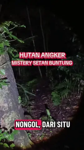Jum'at 21 November 2025. karna gabut ga dapet dapet order gw iseng ke hutan CIFOR, karna gw pernah bikin vt anter order kesitu dan gw ngerasa takut. gw itu penasaran dan demi menuntaskan rasa penasaran gw kesitu lagi, niatnya mau ke gedung tua kosong yang dibawah tapi ga jadi karna bam motor bocor di tengah hutan.  #ojolviral #hutanangker #cifor #setan   #bogor 