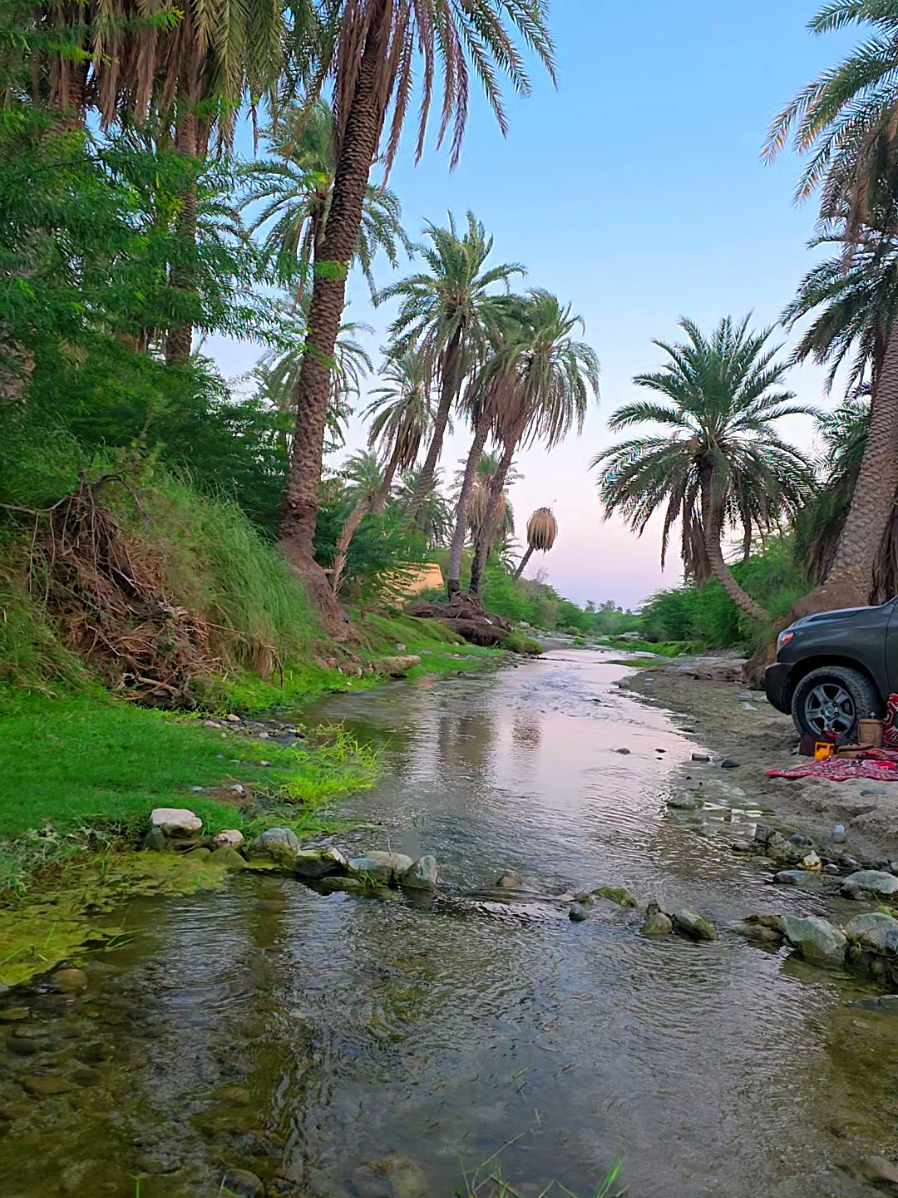 #الجنوب #اكسبلور #قنونا #السعودية🇸🇦 #حاليا 