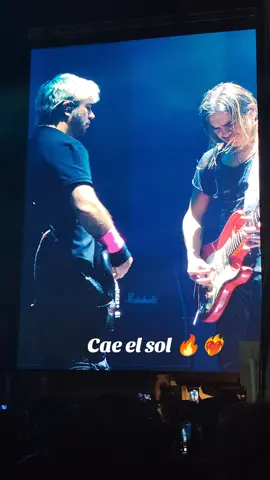 Un concierto bellísimo✨#airbagoficial #arequipa #patosardelli #caeelsol #fans 