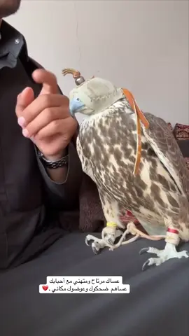 ‏حظوظ تعاندني ووقت يتحداني 😔💔 #explore  