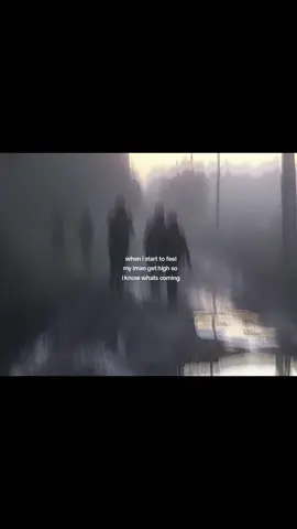 the rabbit  #muslimah #muslim #fyp #islam 