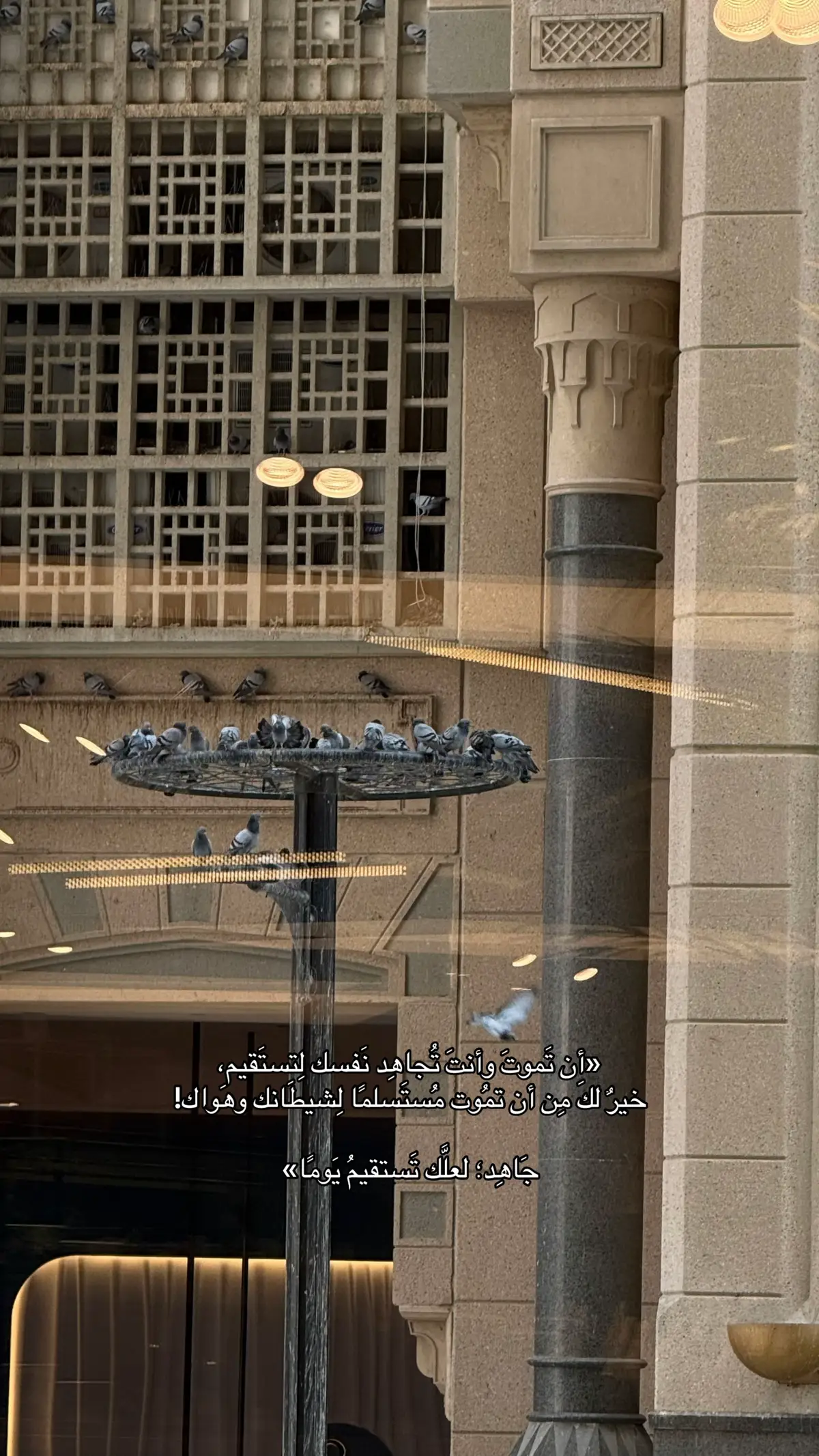 #توبه #دعاء #يارب #ذكر #fyp 