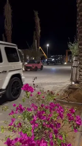 #اكسبلورexplore #الشلاحي #fyp # 