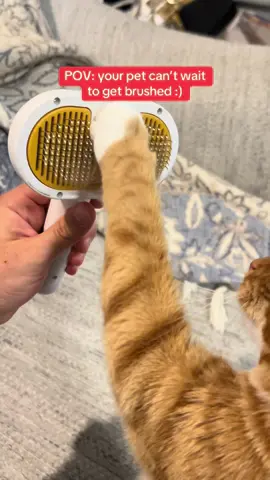 #pet #brush #petbrush #fyp #petgifts 